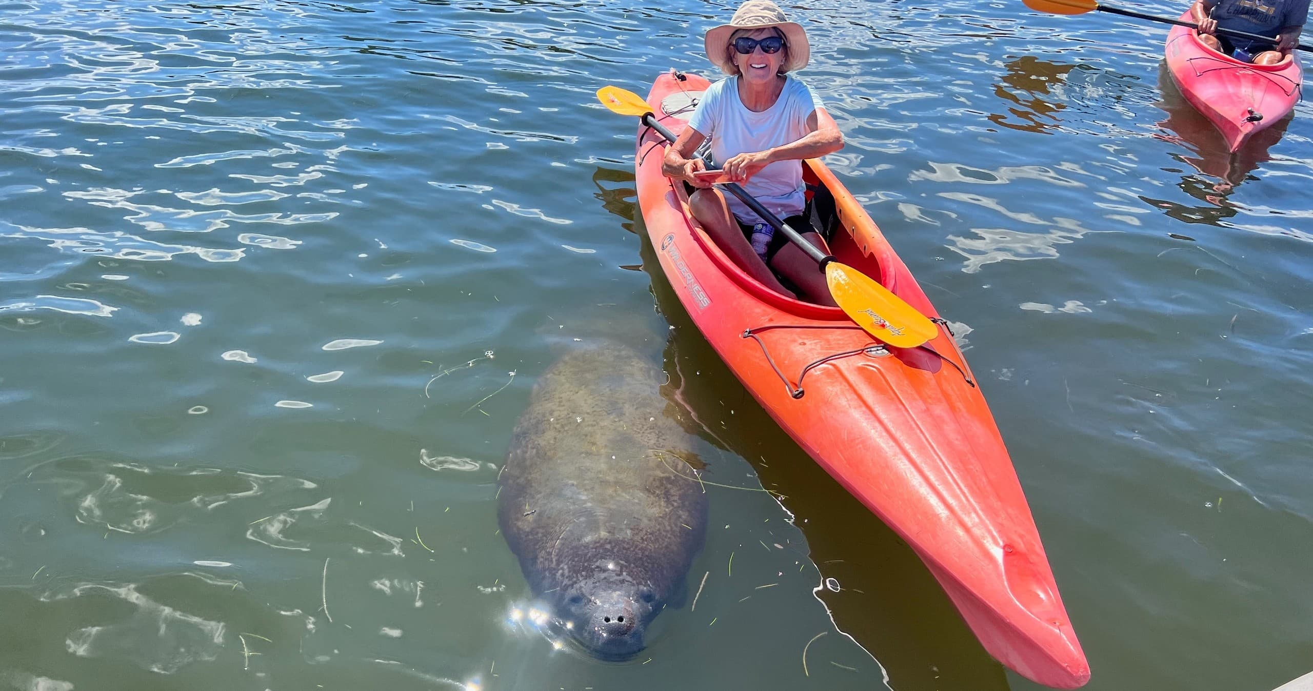 Morning Guided Kayak Tour
