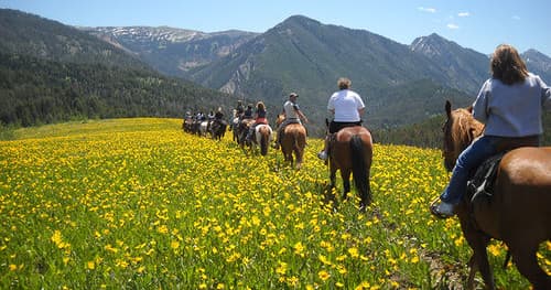 One Hour Horseback Ride
