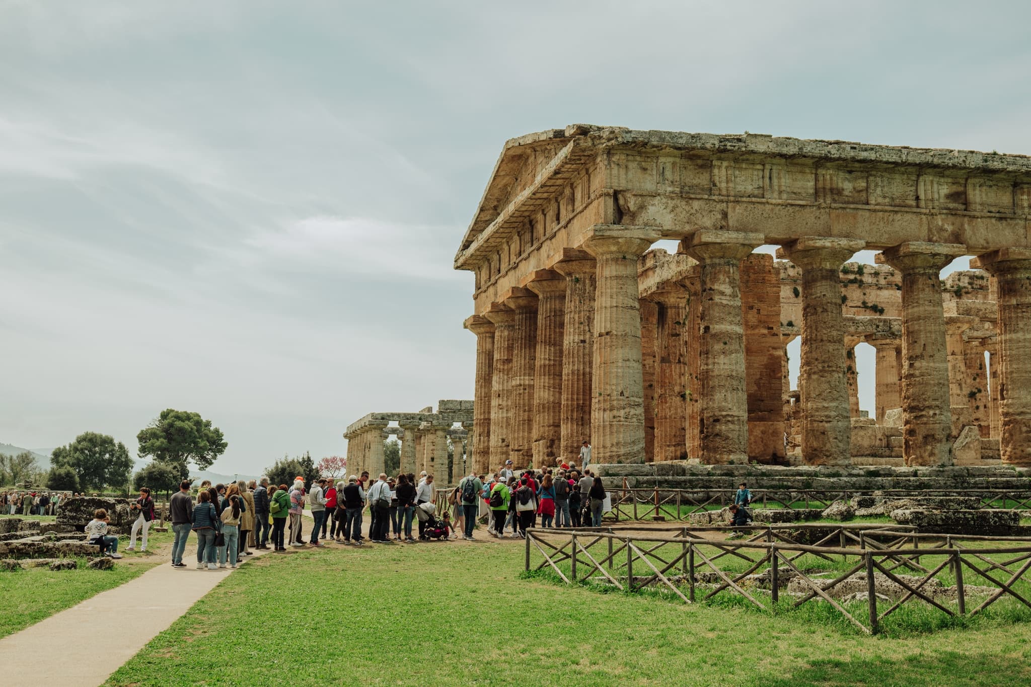 Paestum and Mozzarella farm Private Excursion and skip the line tickets