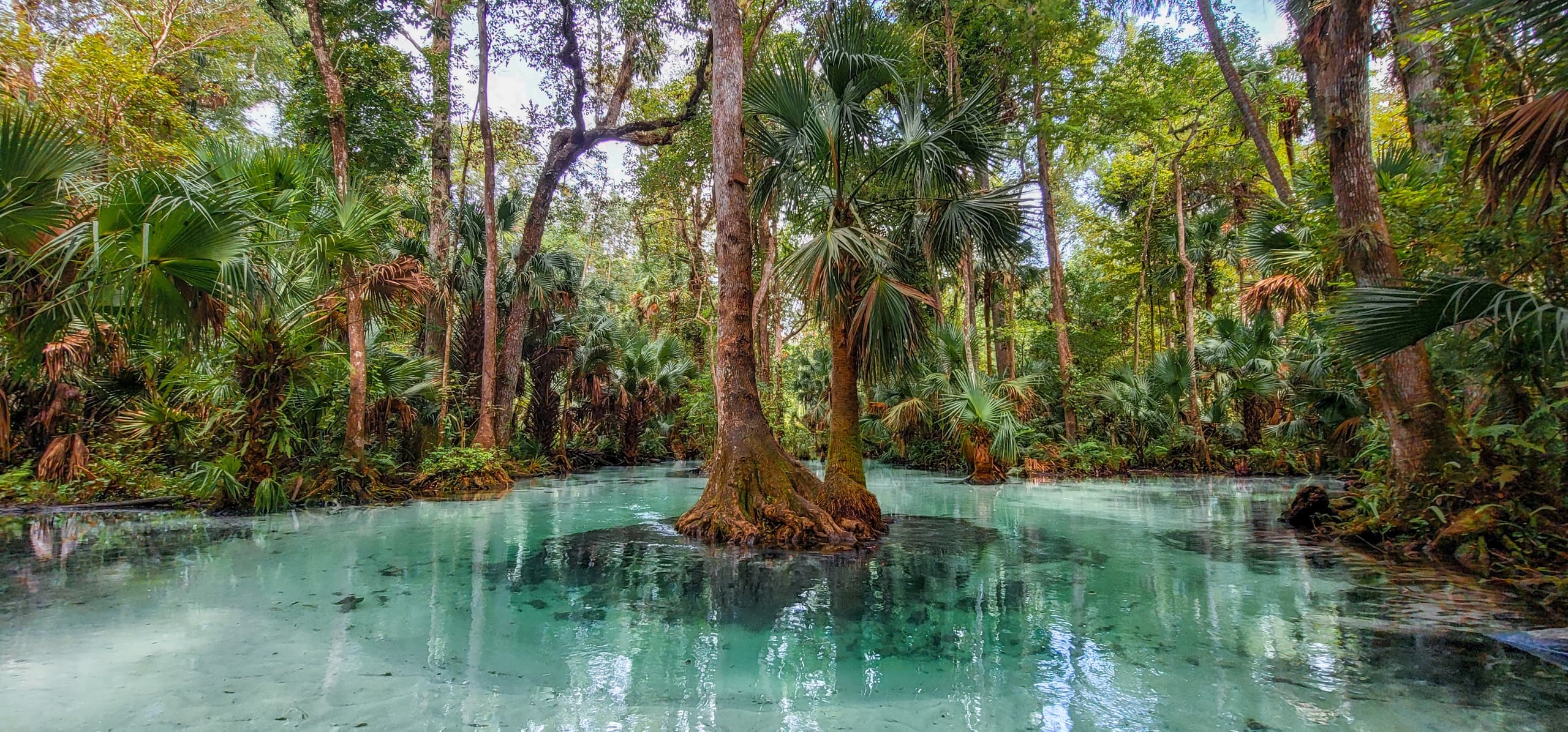 Self Guided Day Paddles