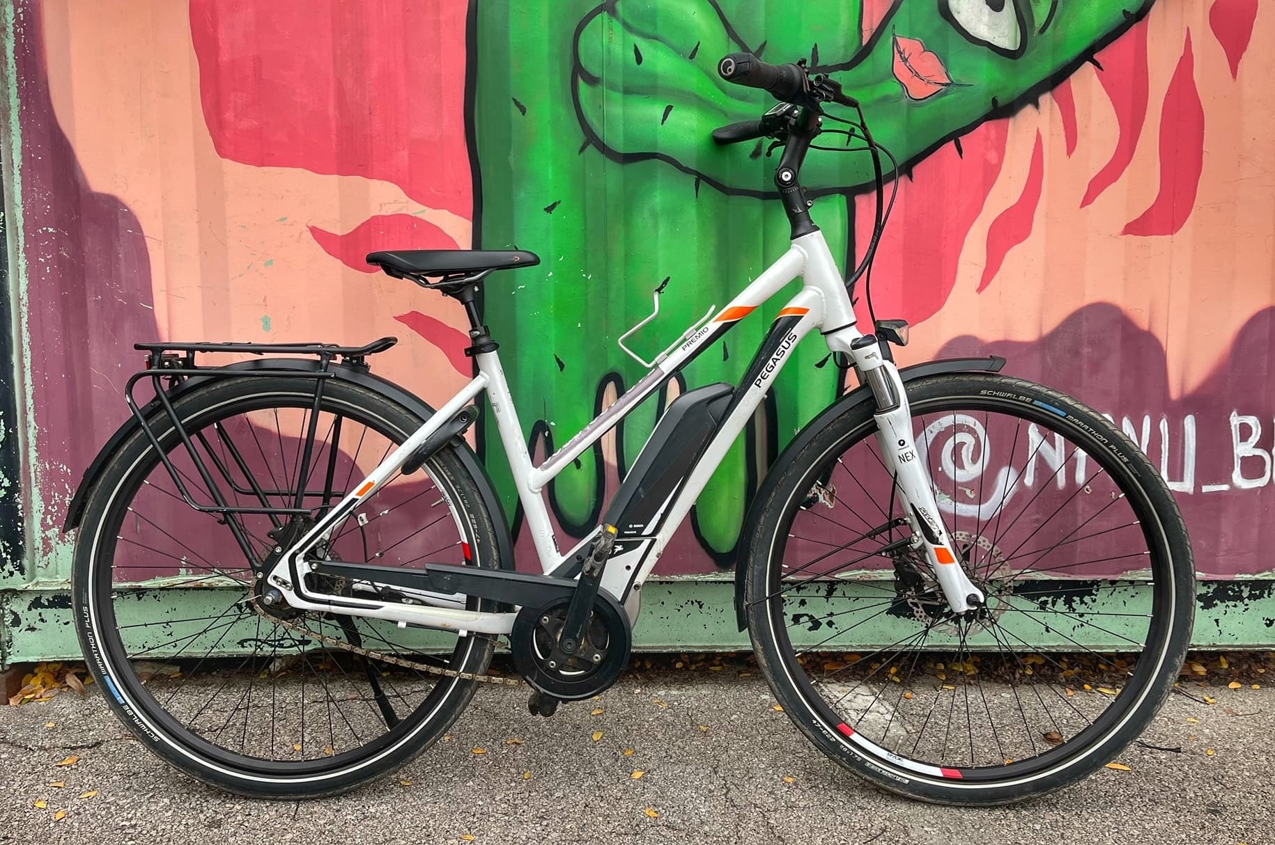 Electric Bike Rental