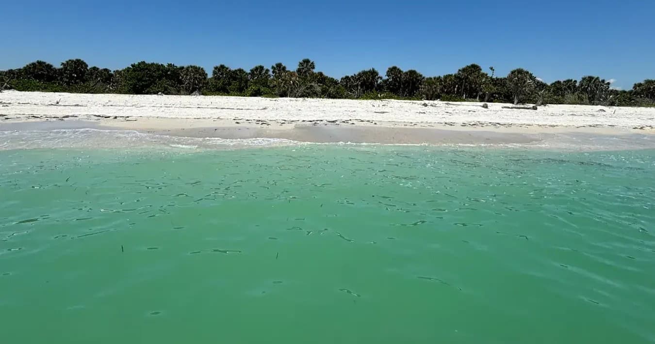 Family Fun & Fishing Charter