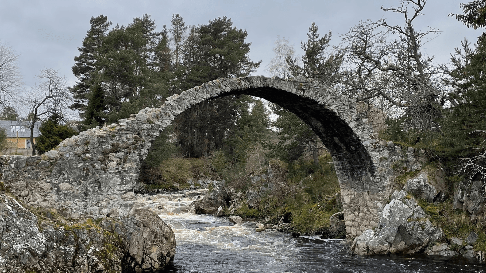 Explore the Cairngorms