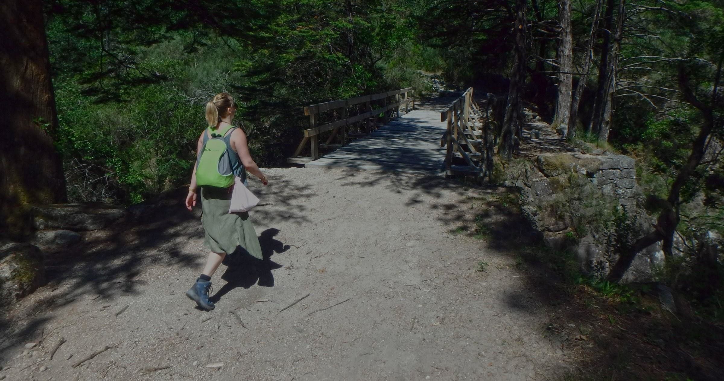 Guided Trails | Half Day