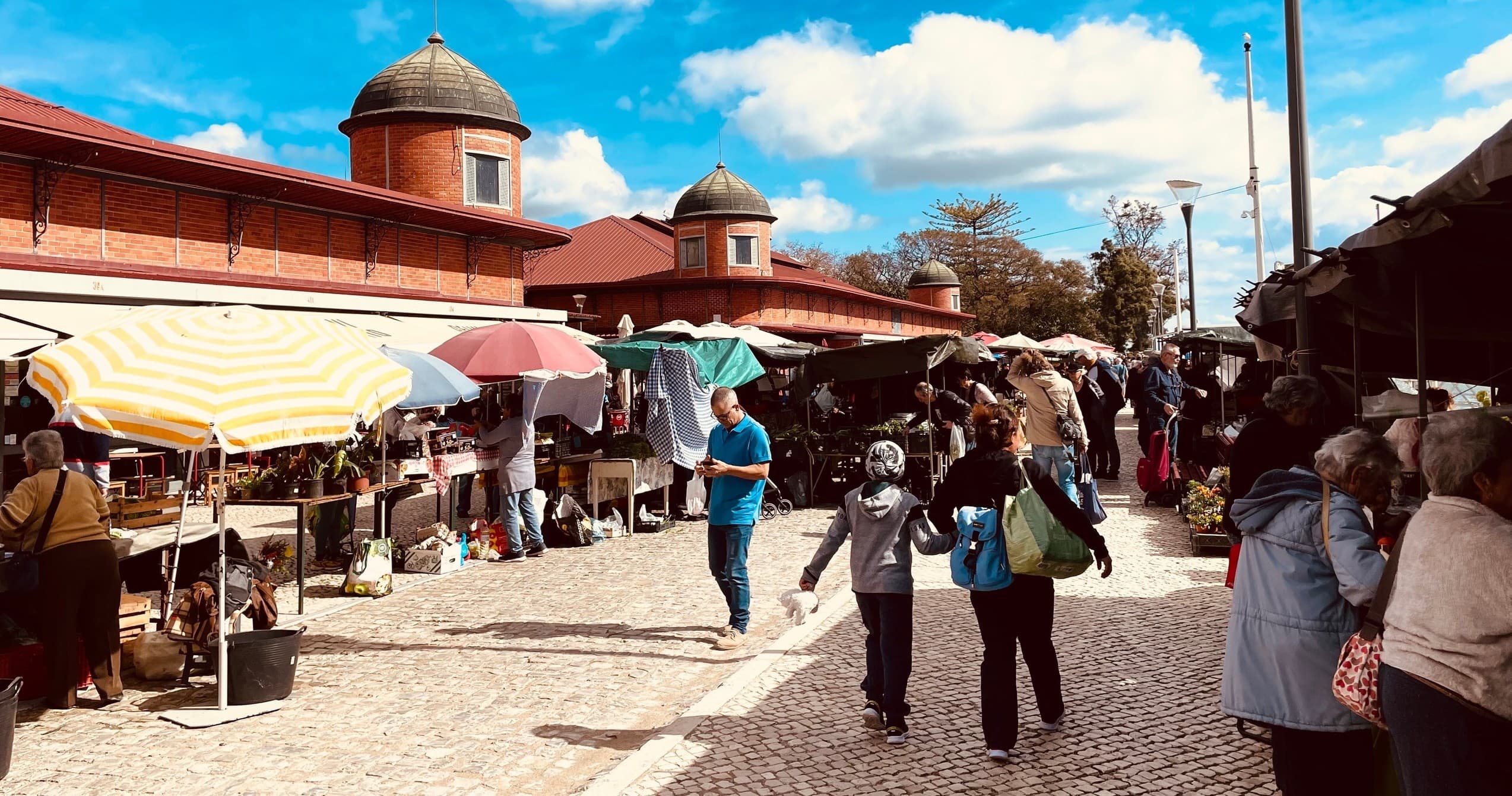 Olhão Market & Food Tour | 10:30AM