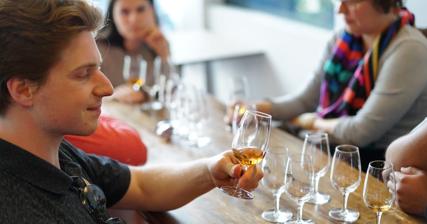 Winemaker for a Day in Reguengos Monsaraz