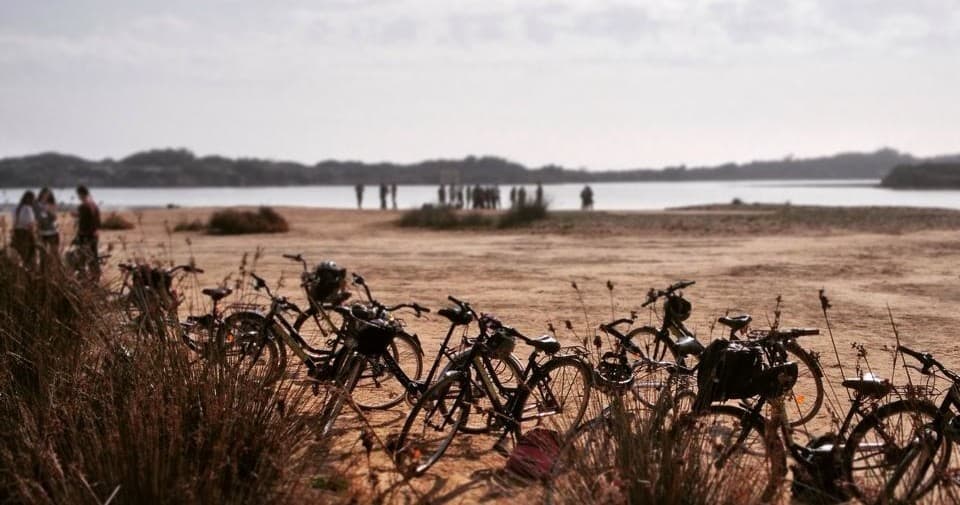 Alquiler de bicicletas eléctricas | 3 horas