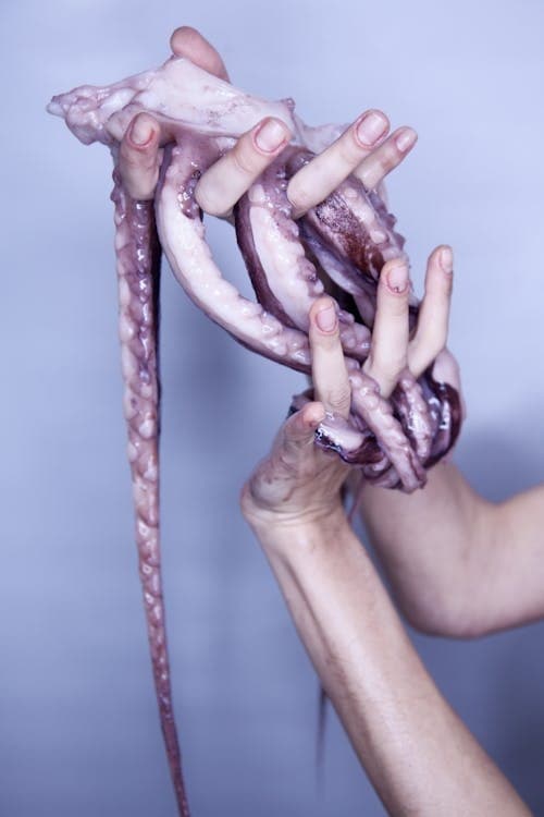 Private Charter - Squid