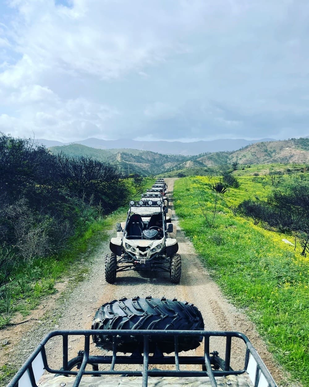 1 Hour Tour