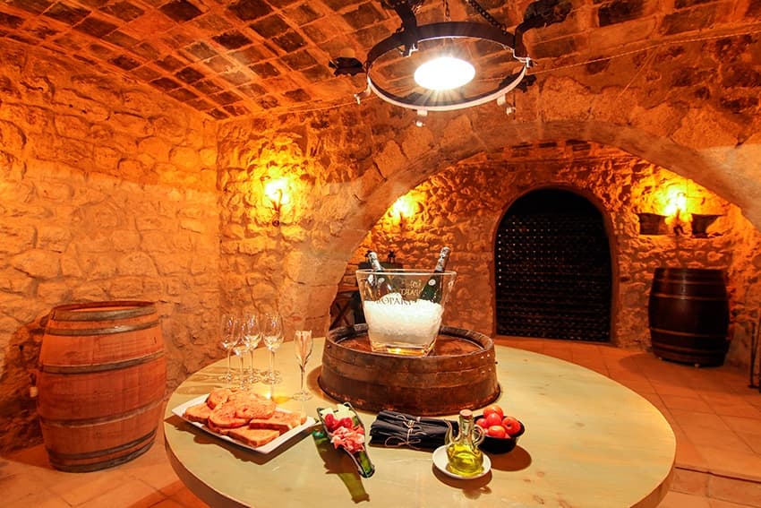 Penedes and Cava Winery Small Group Tour