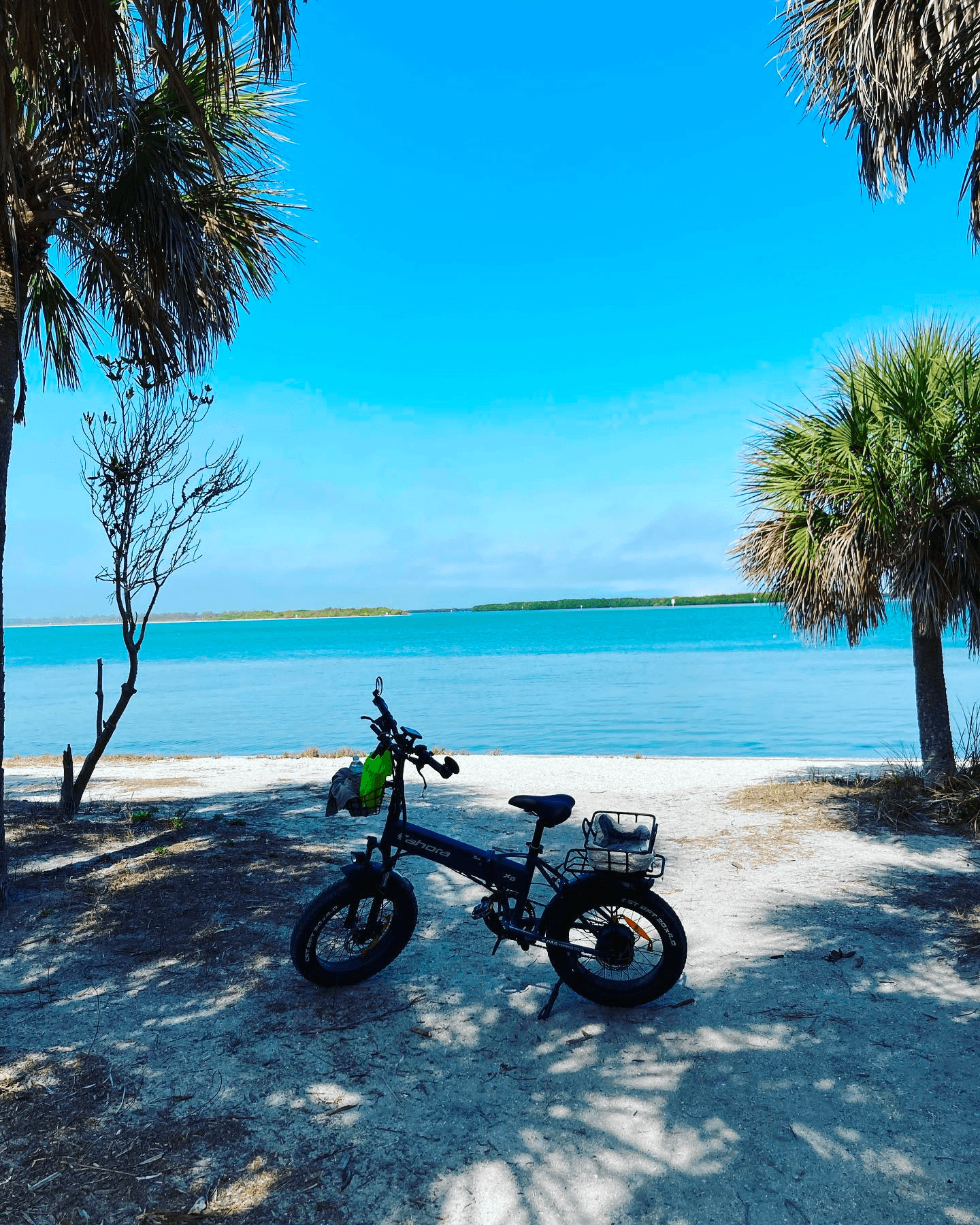 E-Bike Rental