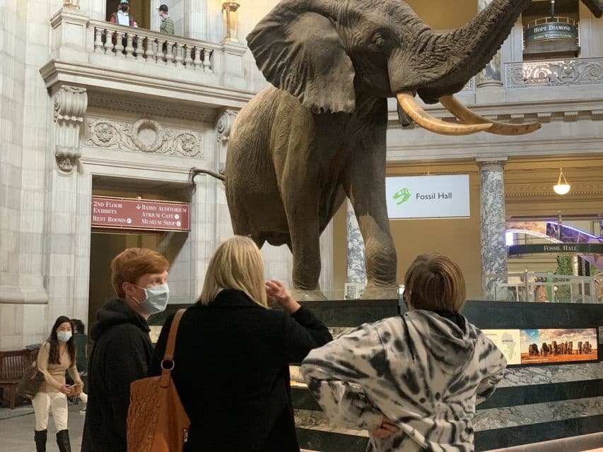 Smithsonian National Museum of Natural History Guided Tour
