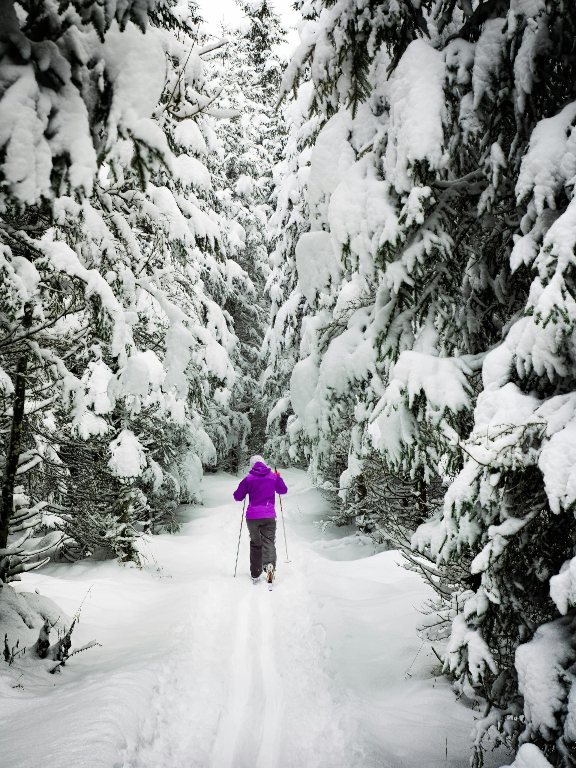 Cross Country Ski Tour in Glacier National Park