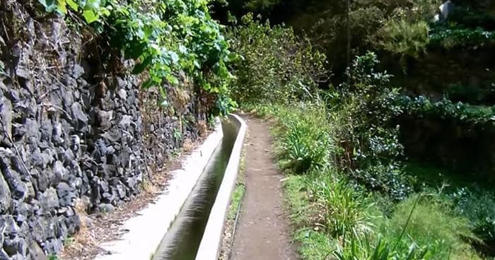 Levada dos Marocos - Mimosa Valley