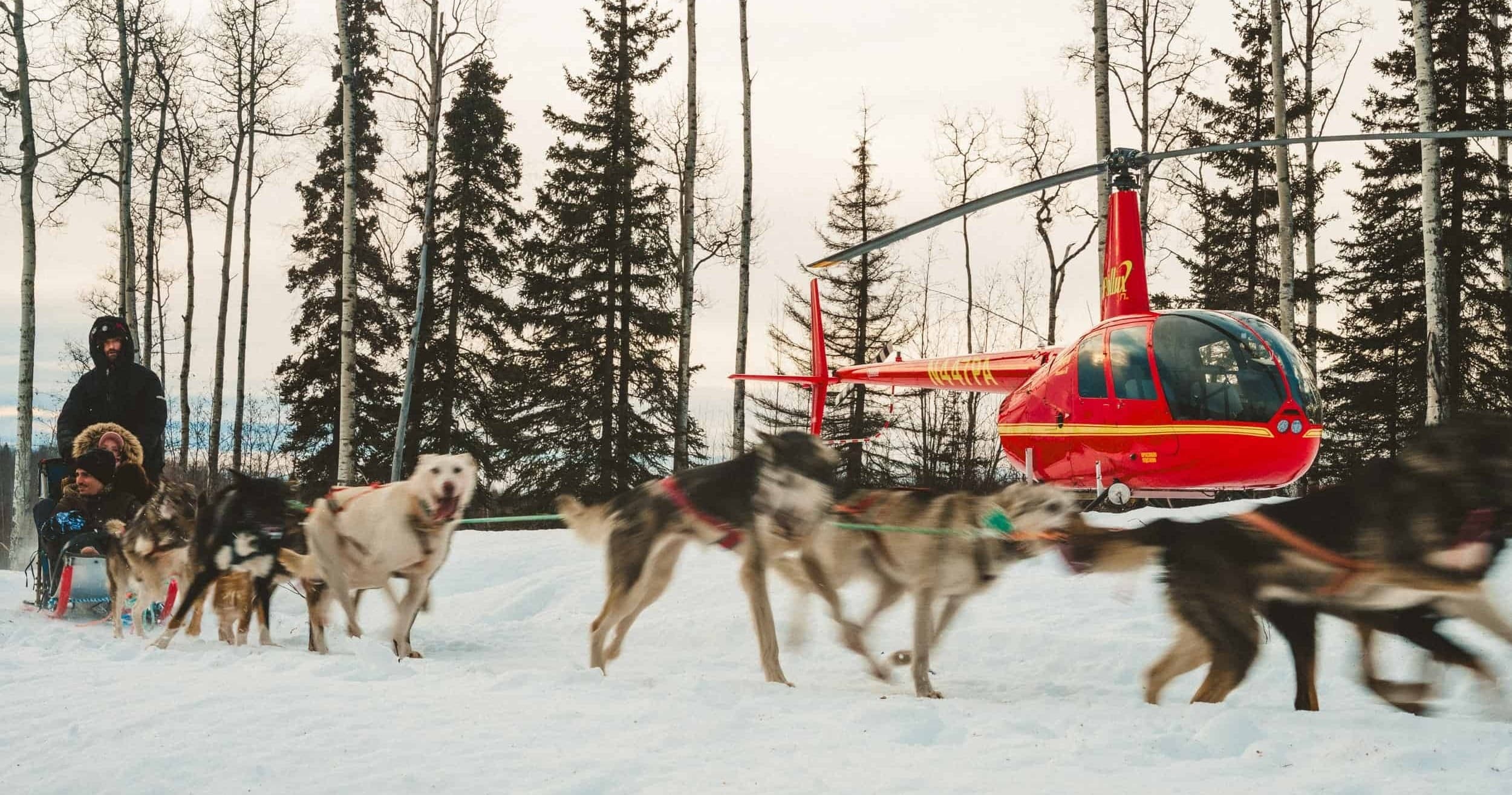 Mushing Adventure (Private)