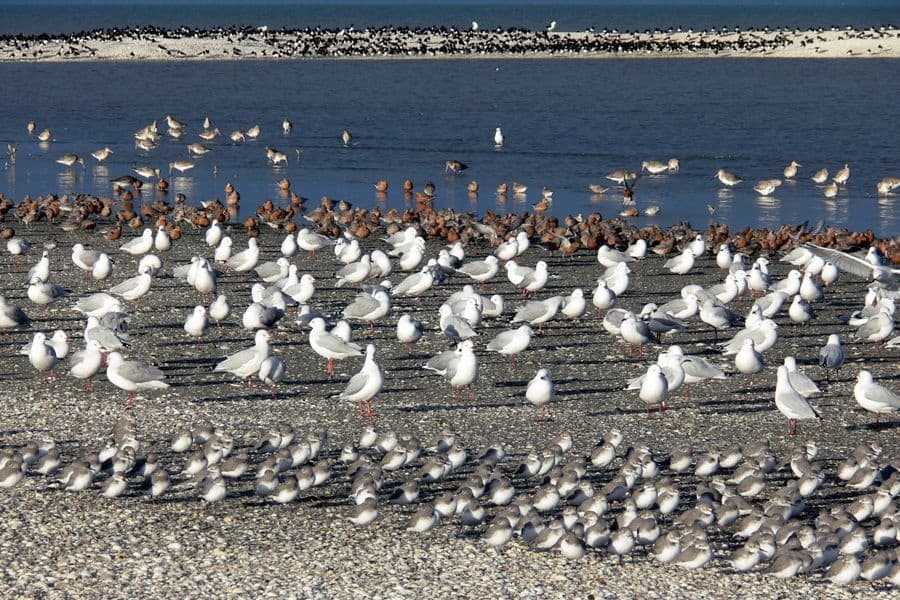 Birdwatching, Hiking & Waterfalls Private Tour