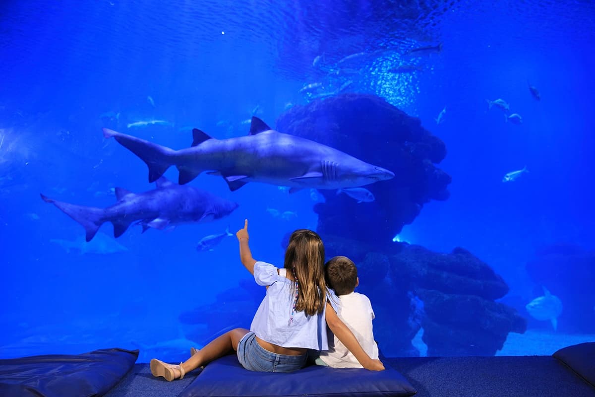 Entradas al Palma Aquarium