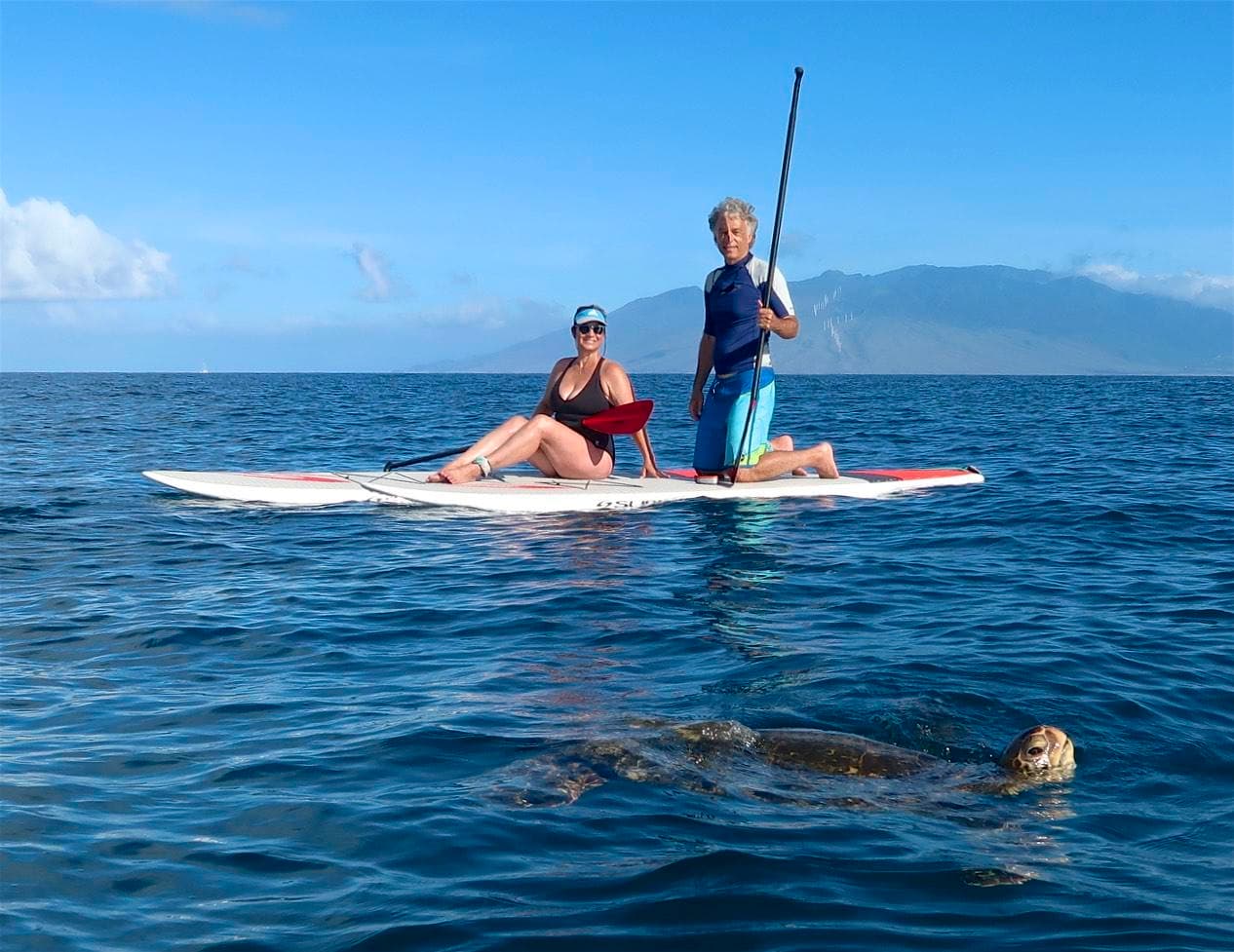 SUP Rentals!