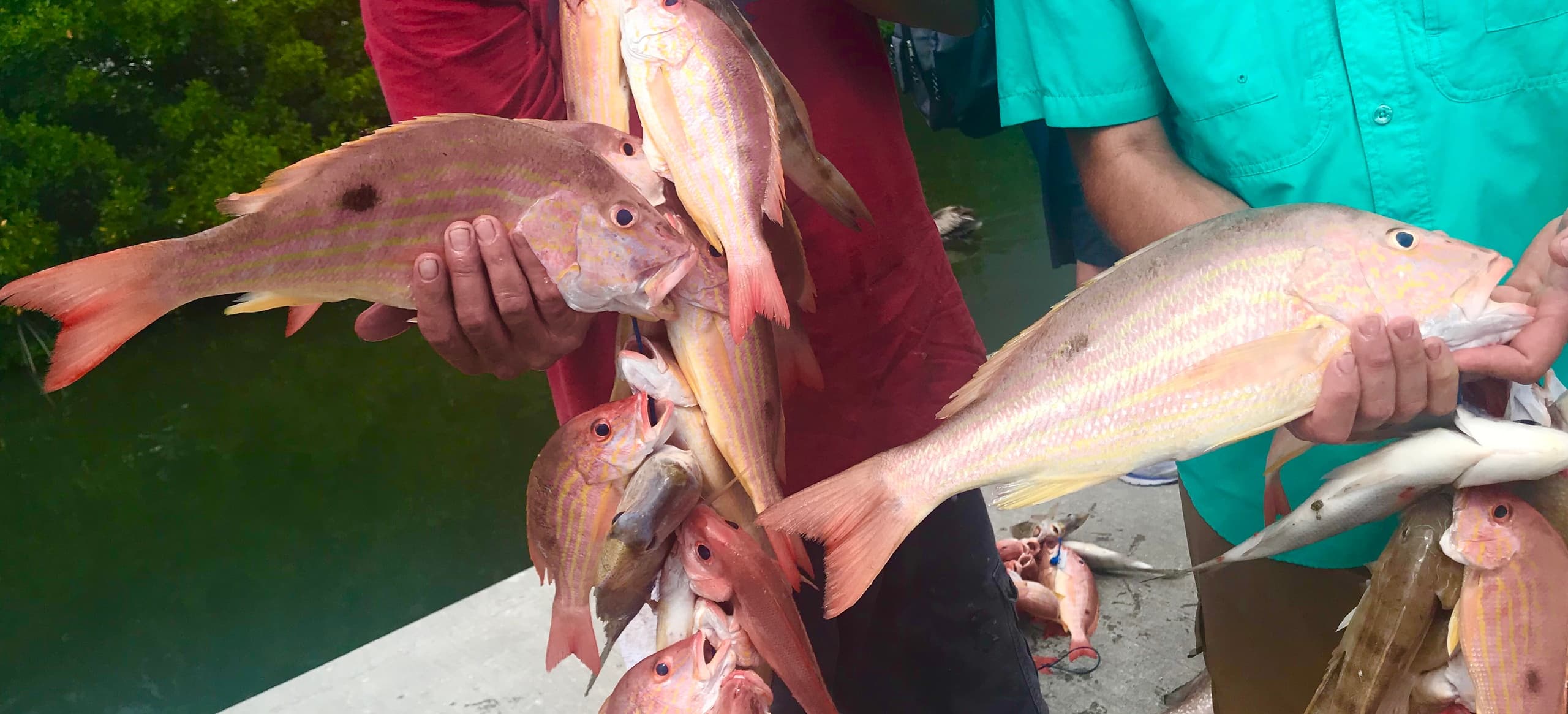 Six Hour Party Boat Fishing