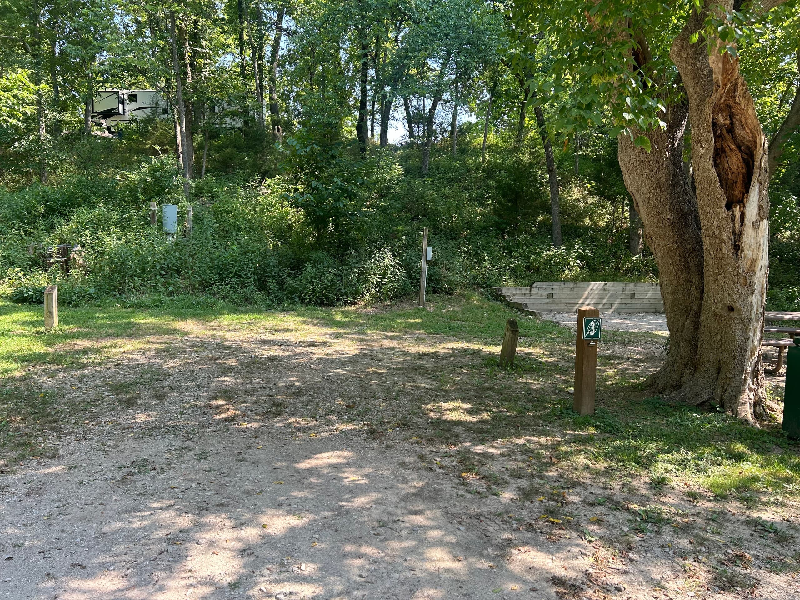 Electric Campsite 3 (E3)