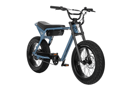 Regular EBike Rental