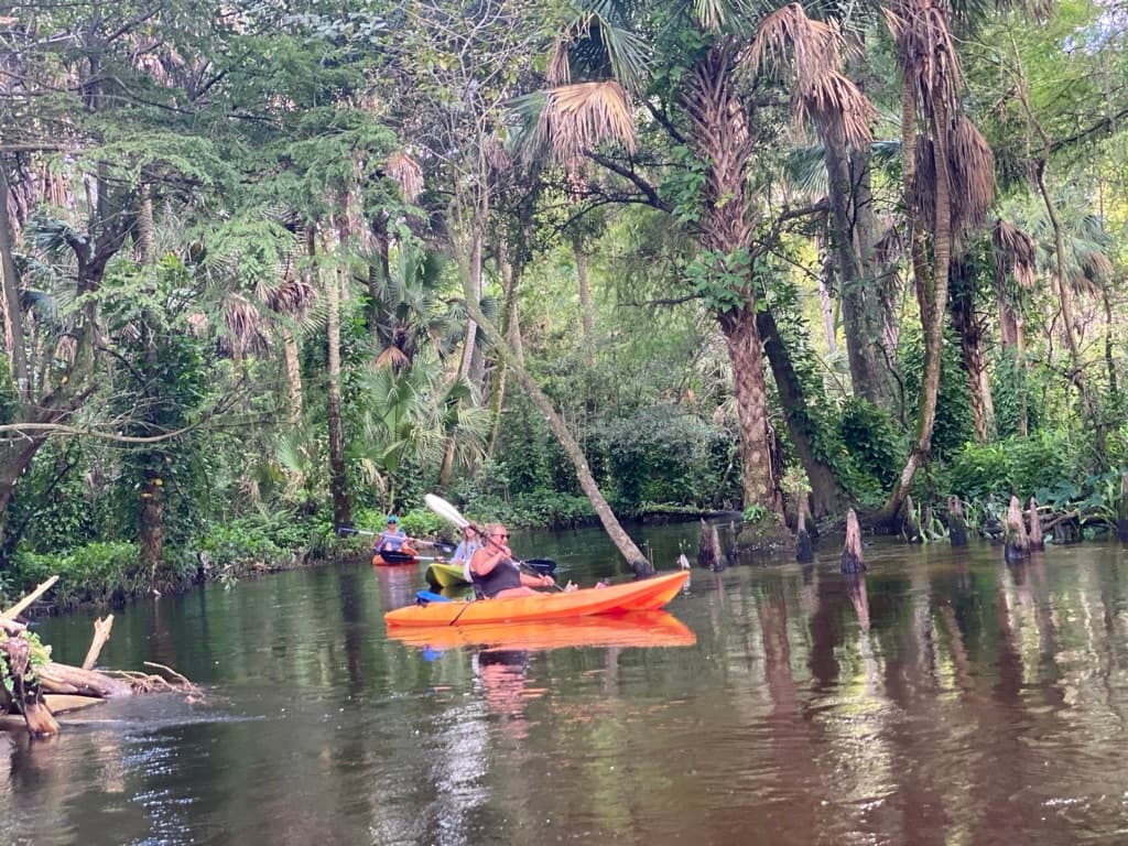 Pick & Paddle