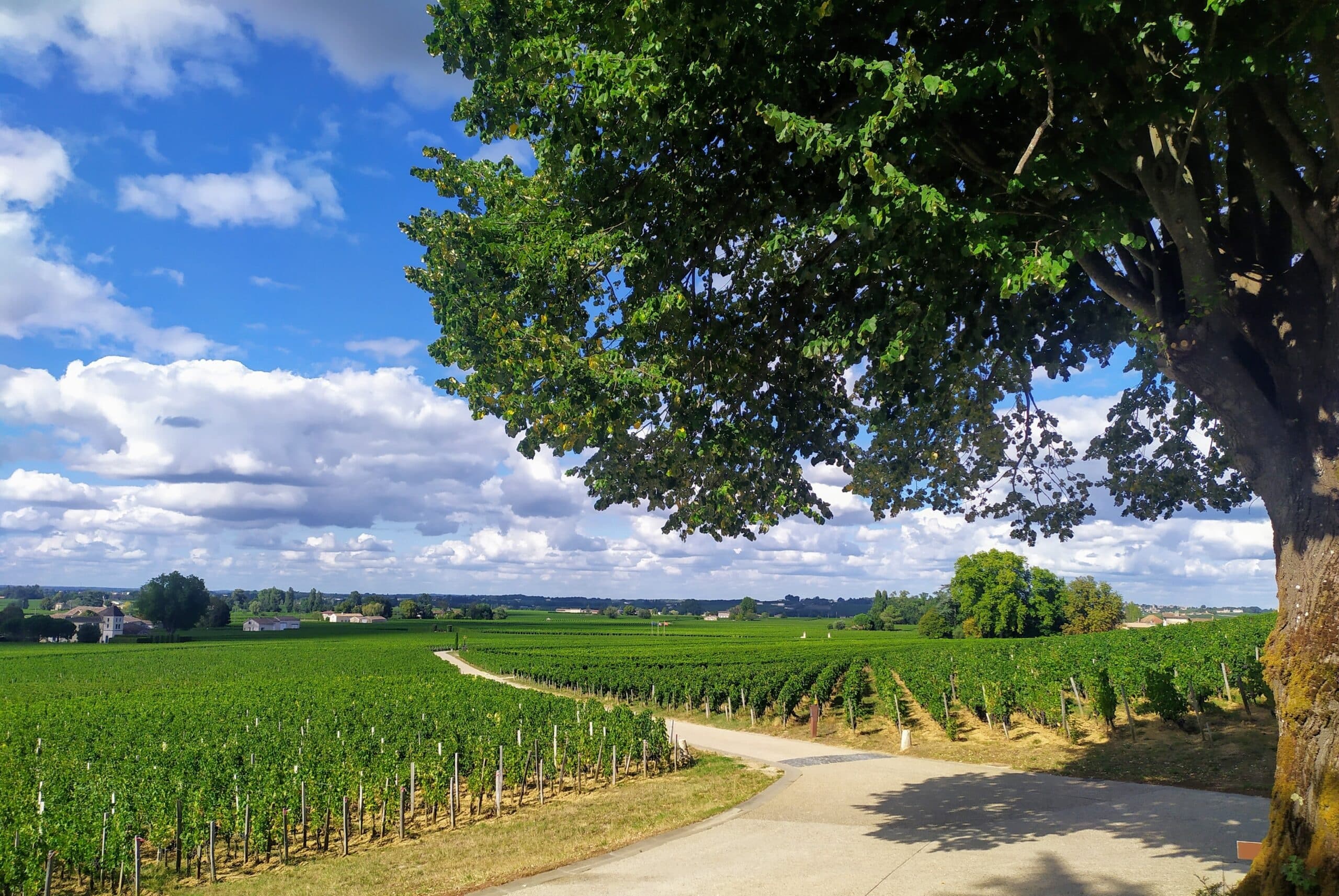 3 days tour Bordeaux & wine region