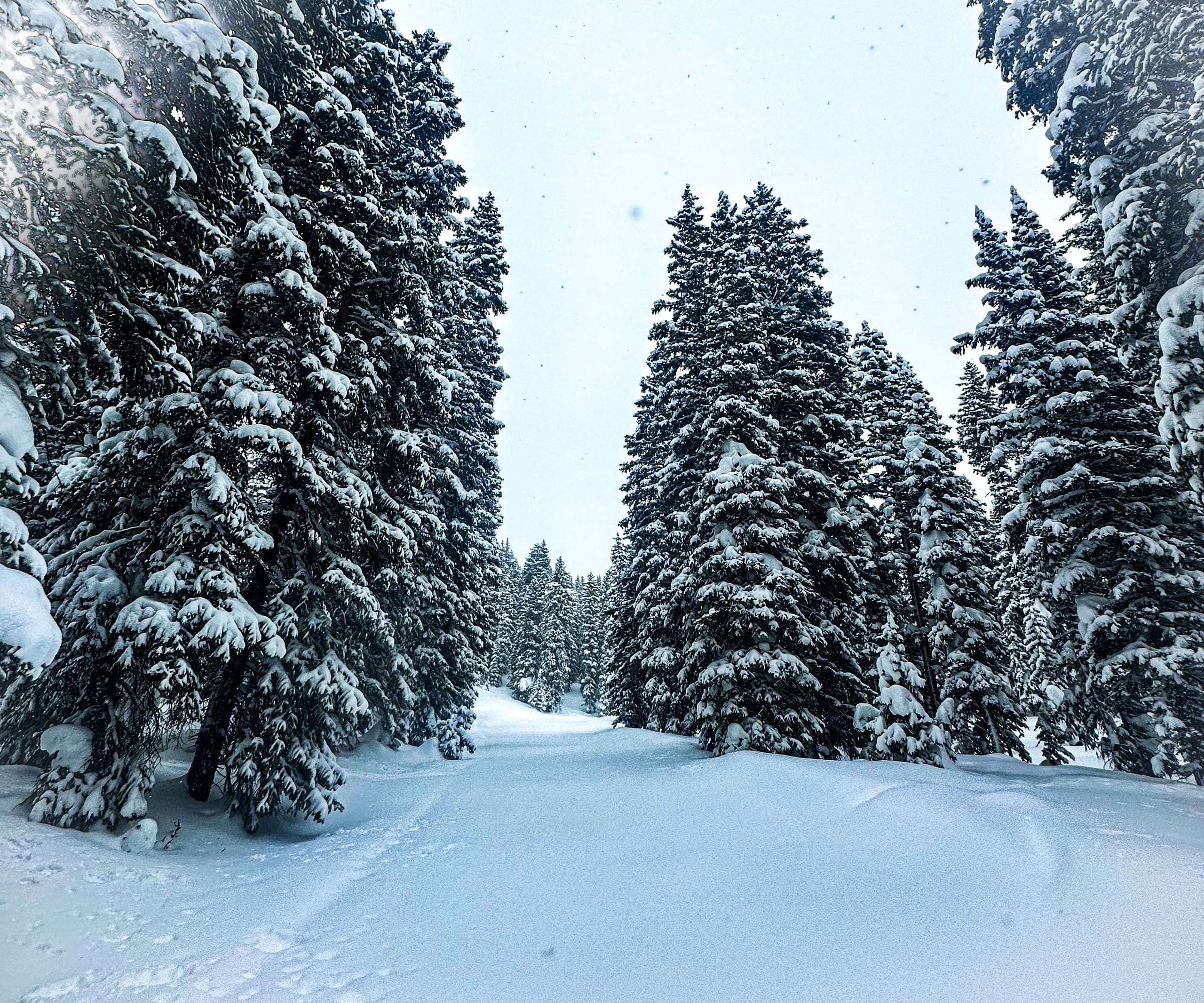 Two Hour Guided Scenic Snowmobile Tour