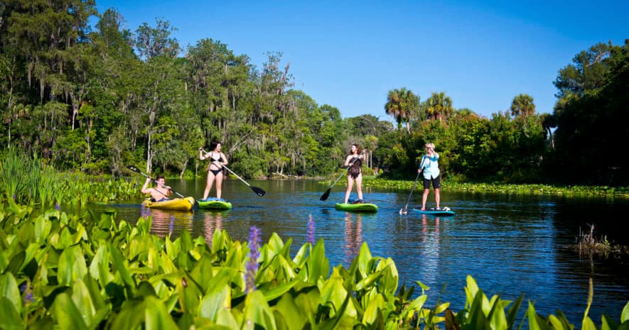 One Hour Paddlesport Rental