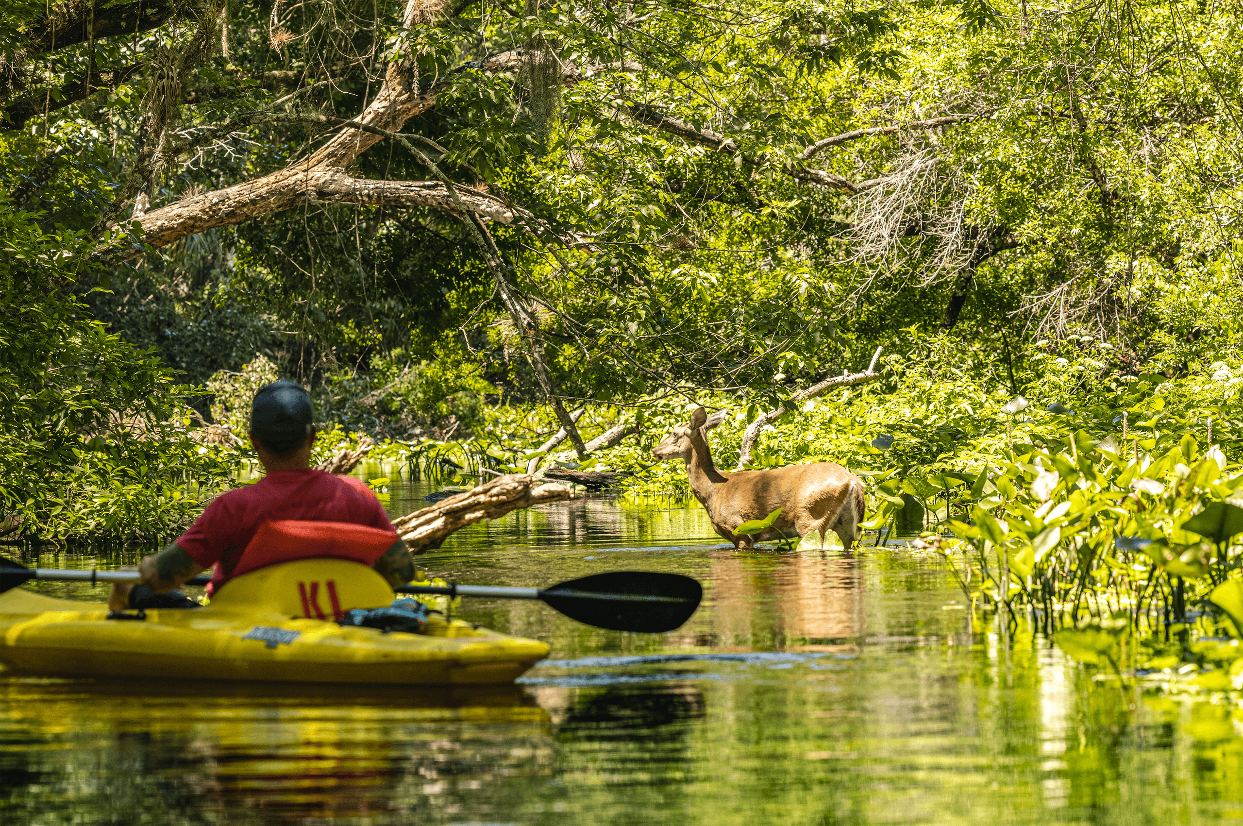 Shuttle Run Self Guided Paddle