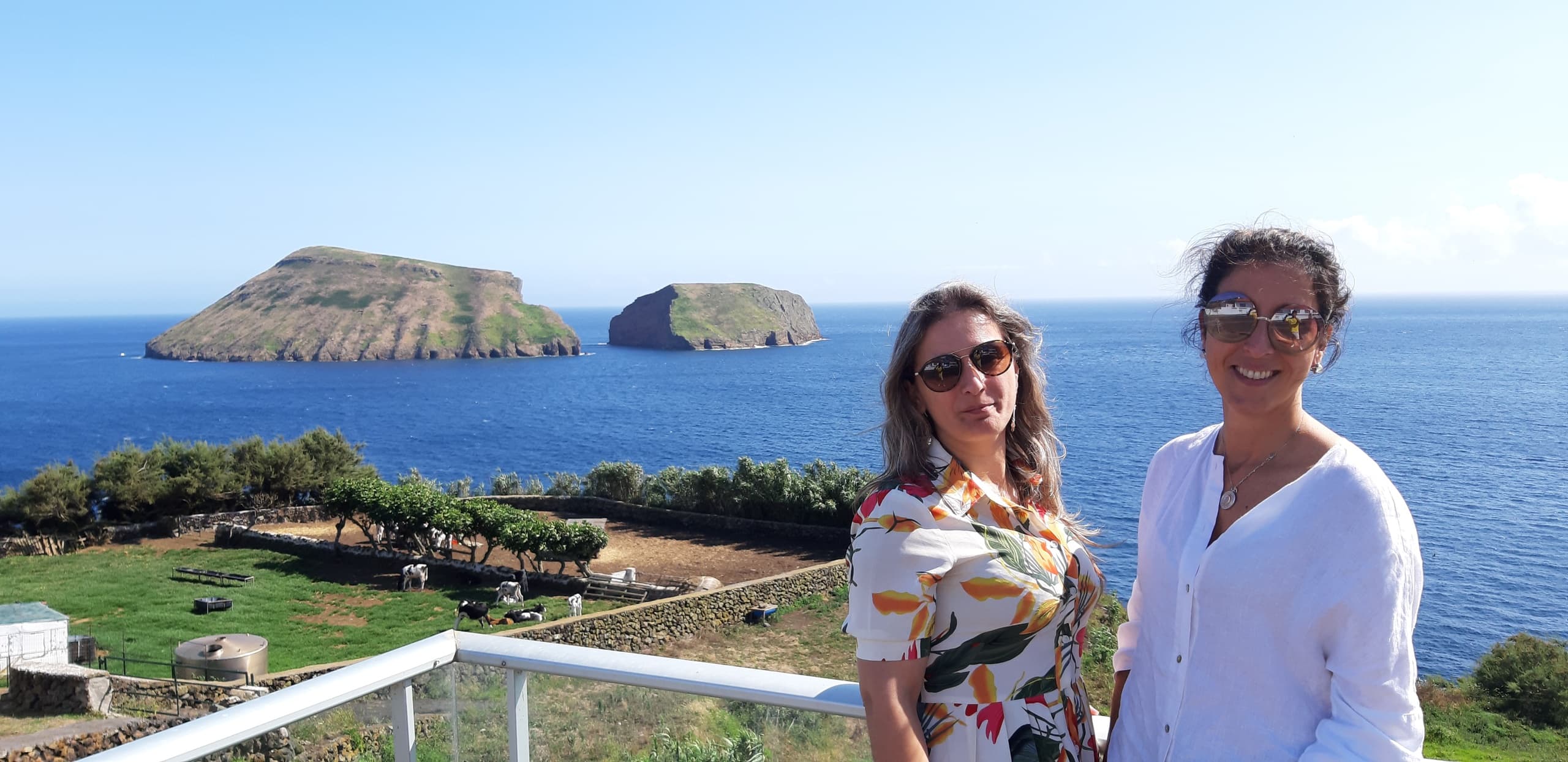 VAN TOUR - Costa Este
