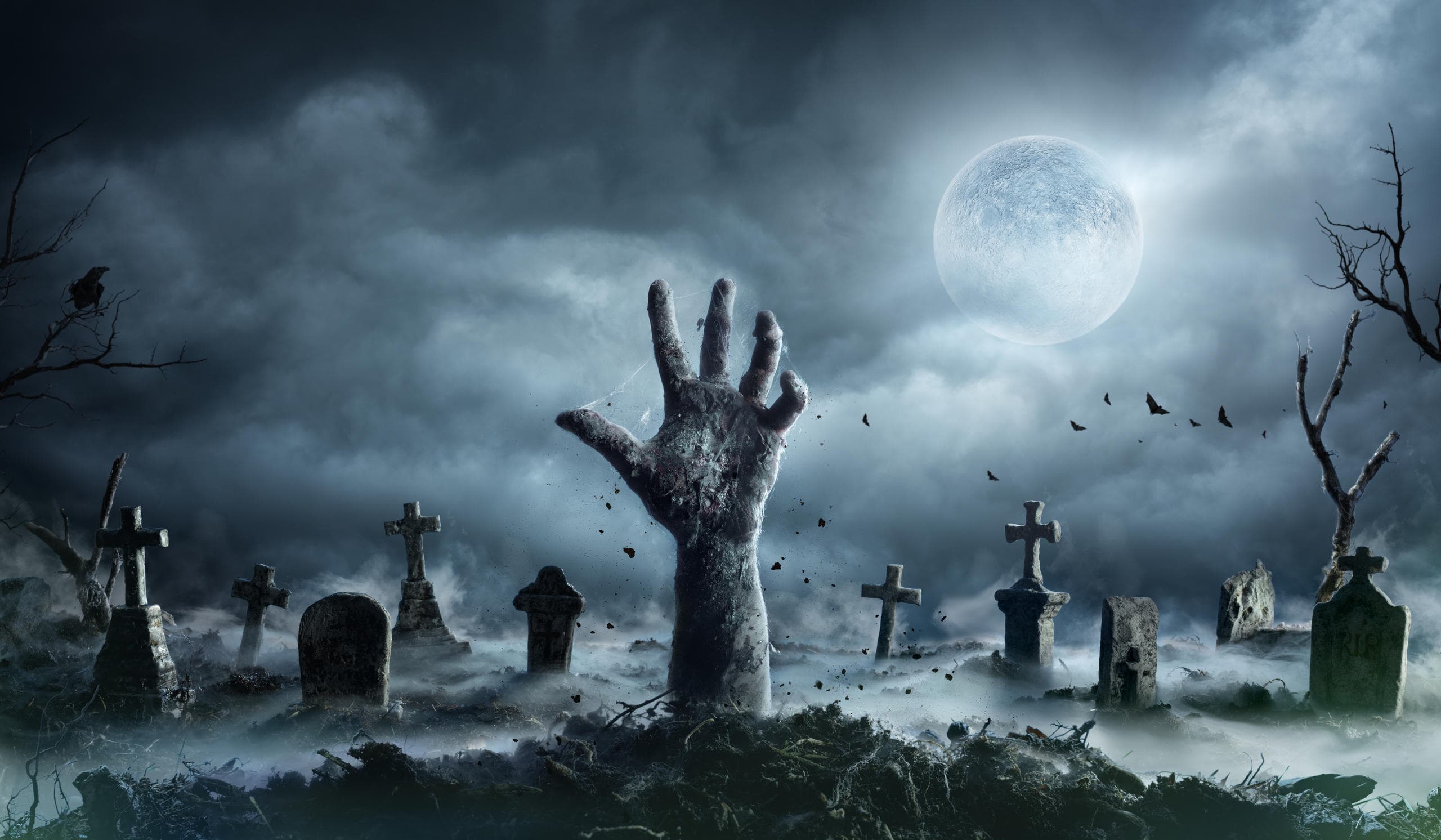 Haunted Cemetery Bus Tour