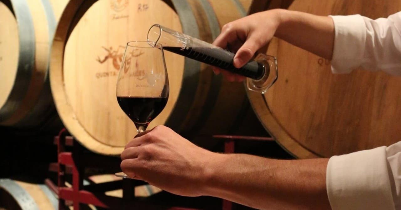 Fonterutoli Private Wine Tour