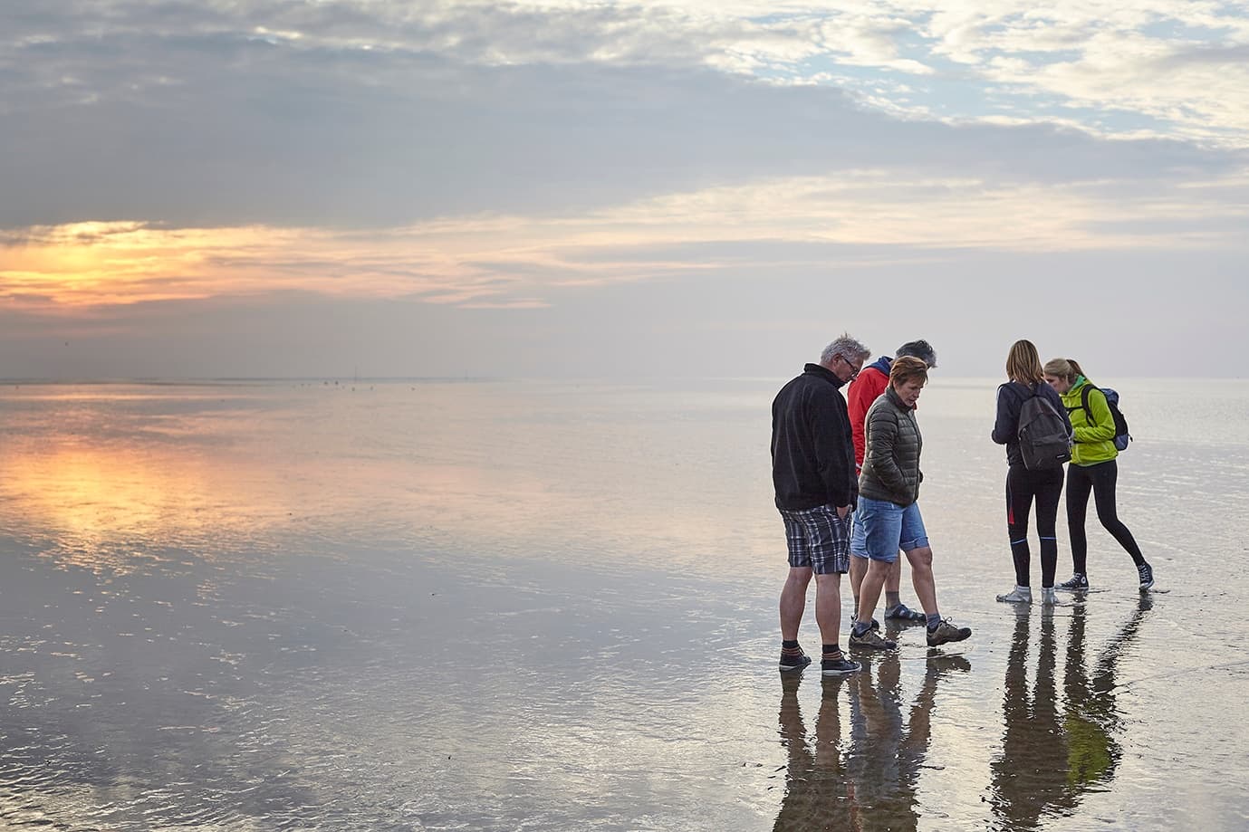 Privé Wadlooptocht met Boottocht