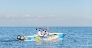 Sunset Dolphin Cruise