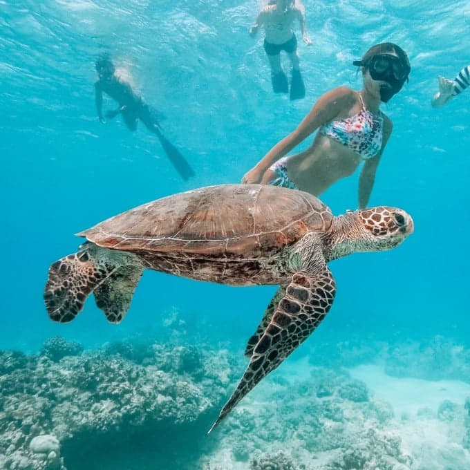 Ultimate Land and Sea Adventure