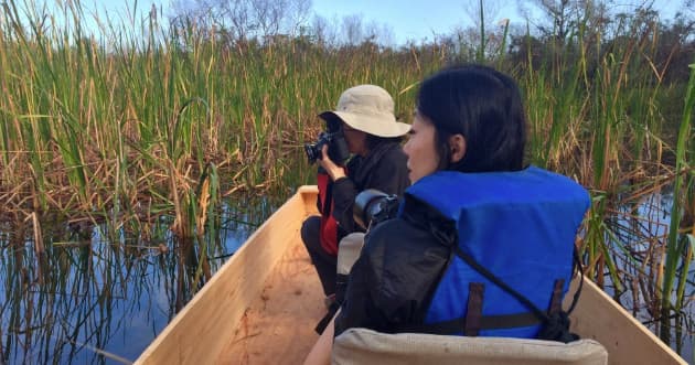 Everglades Photography Tour