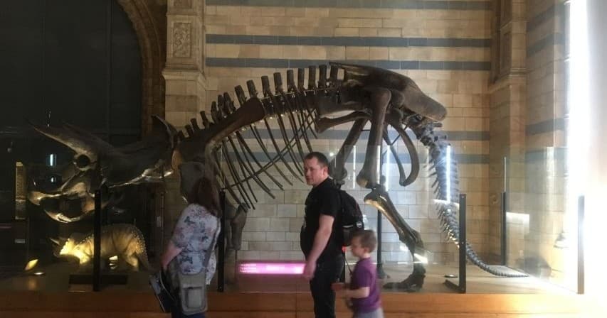 London : The Natural History Museum Guided Tour