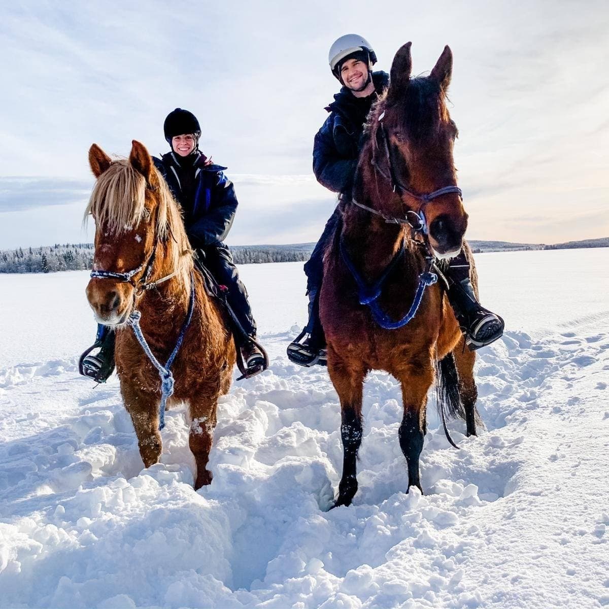 2-Hour ride Cross-Country Horseback Safari without transport