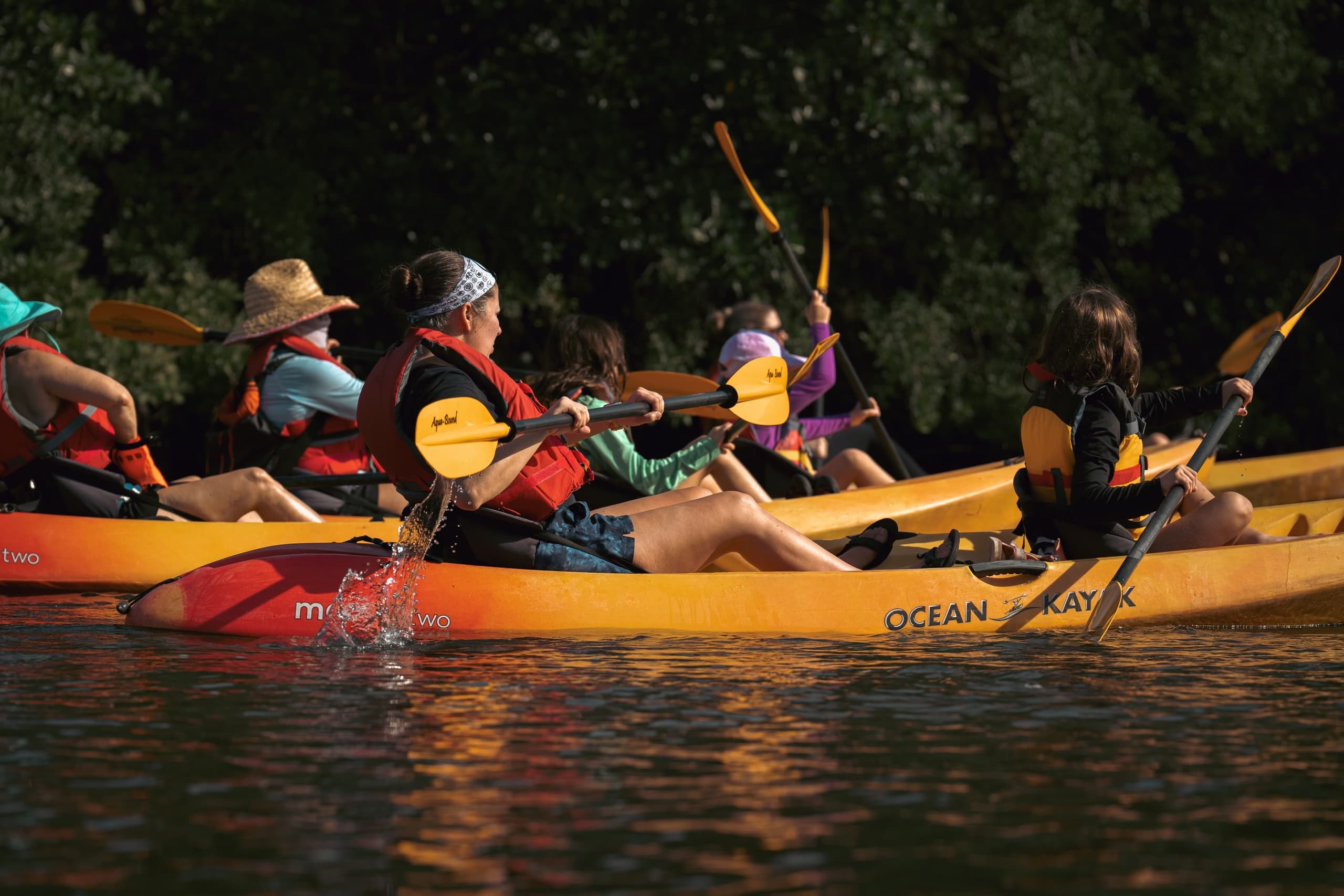 Guided Eco Tours