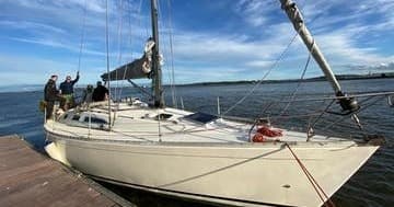 Sailing Tours of the Harbour