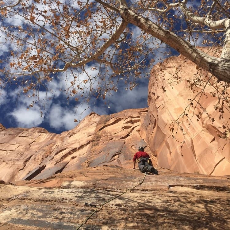 Family Rock Climbing Half Day