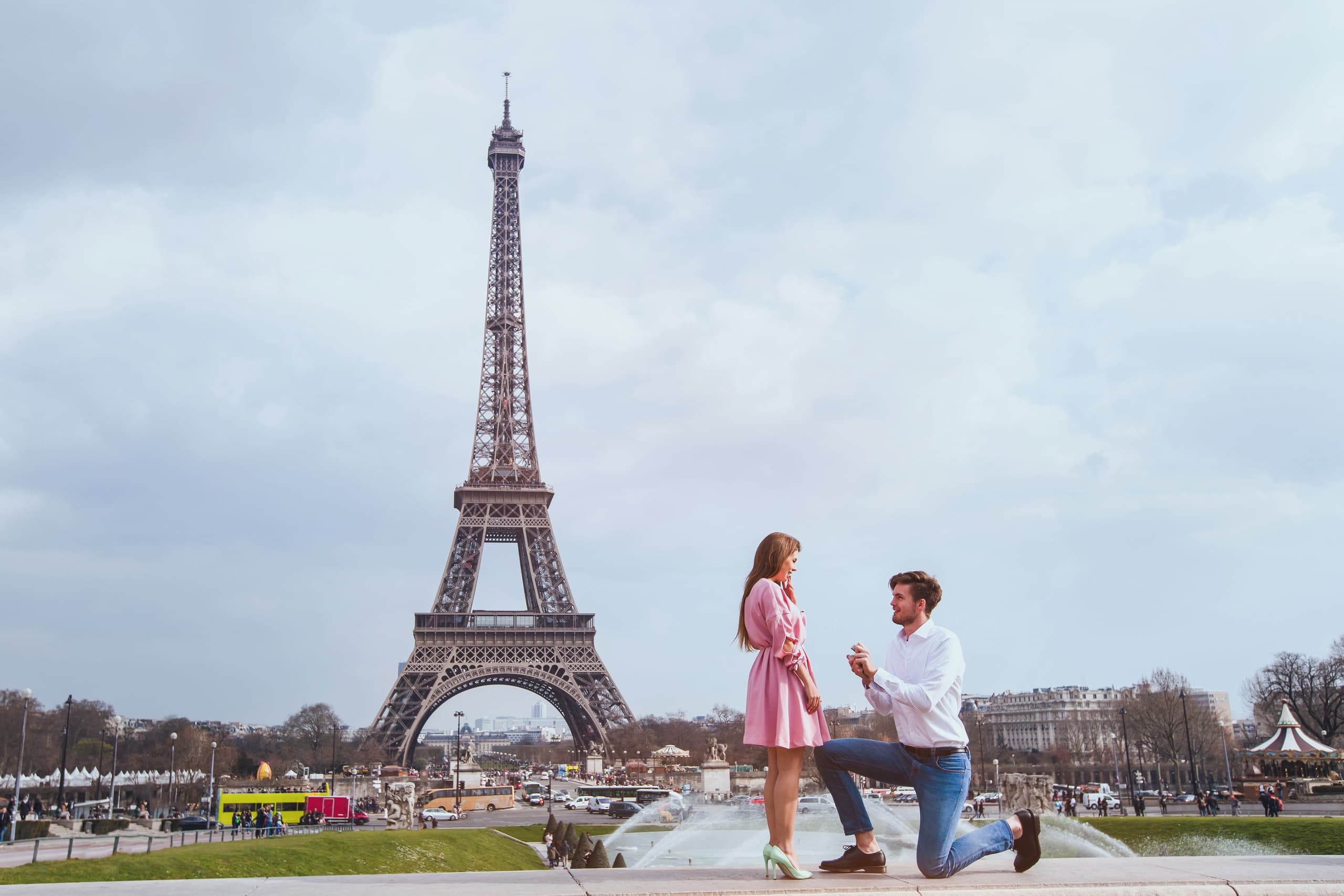 Paris Proposal (Platinum)