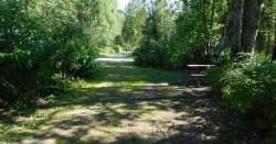 Camp Site 41