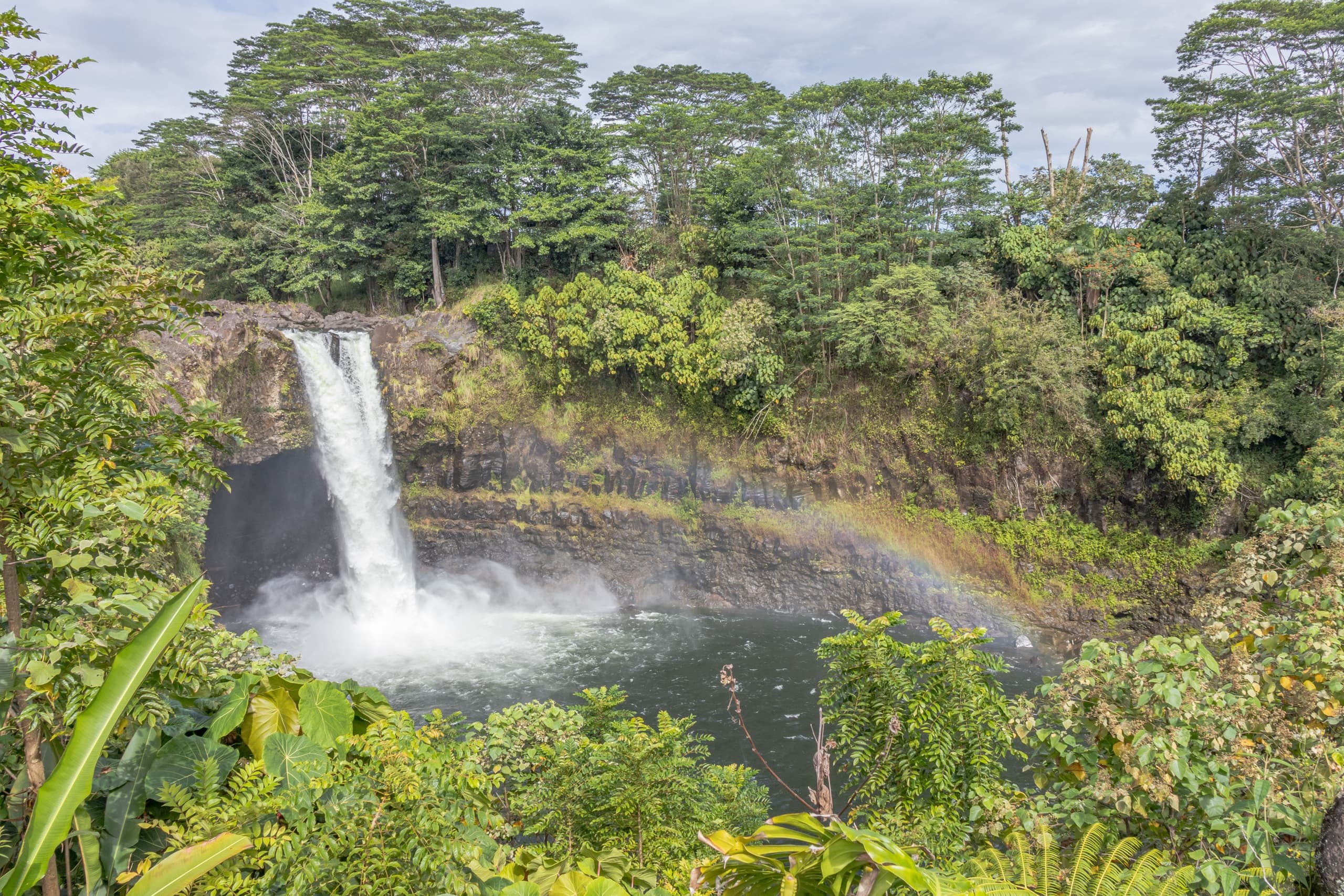 Hilo Cruise Ship Guest Special - Botanical Gardens, Waterfalls, and Farmers Market