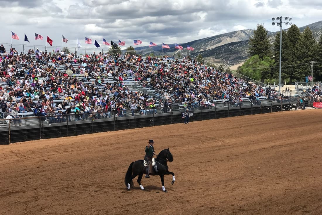 Outdoor Arena - Large Event