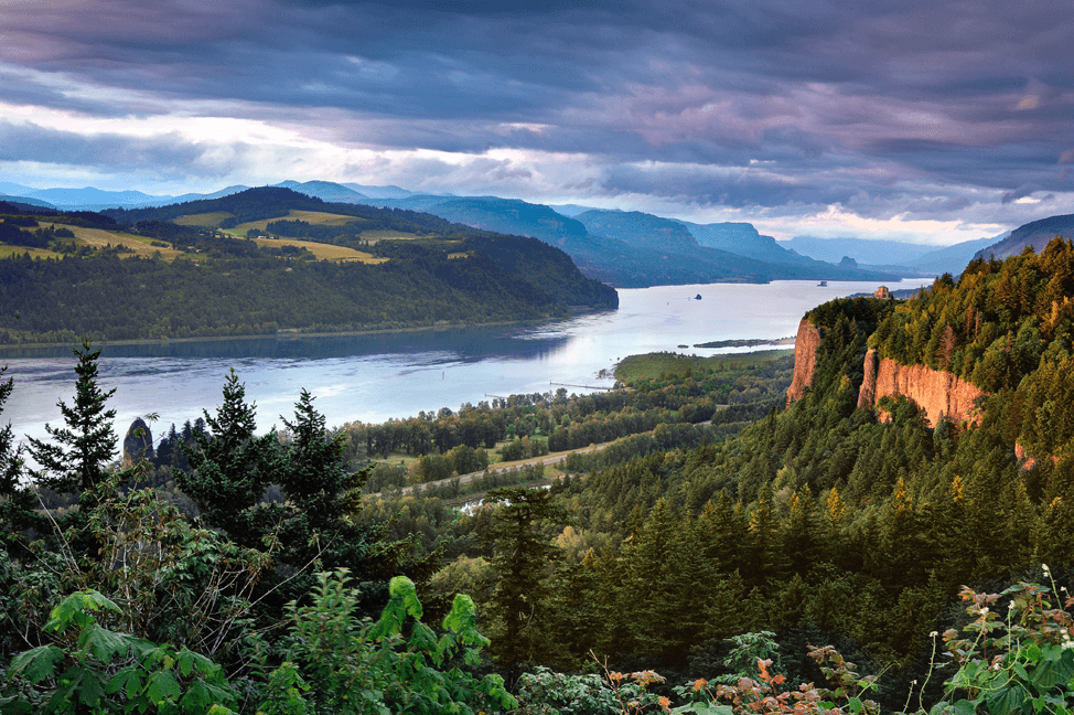 Private Columbia Gorge Waterfalls: Botanical Discovery Hike