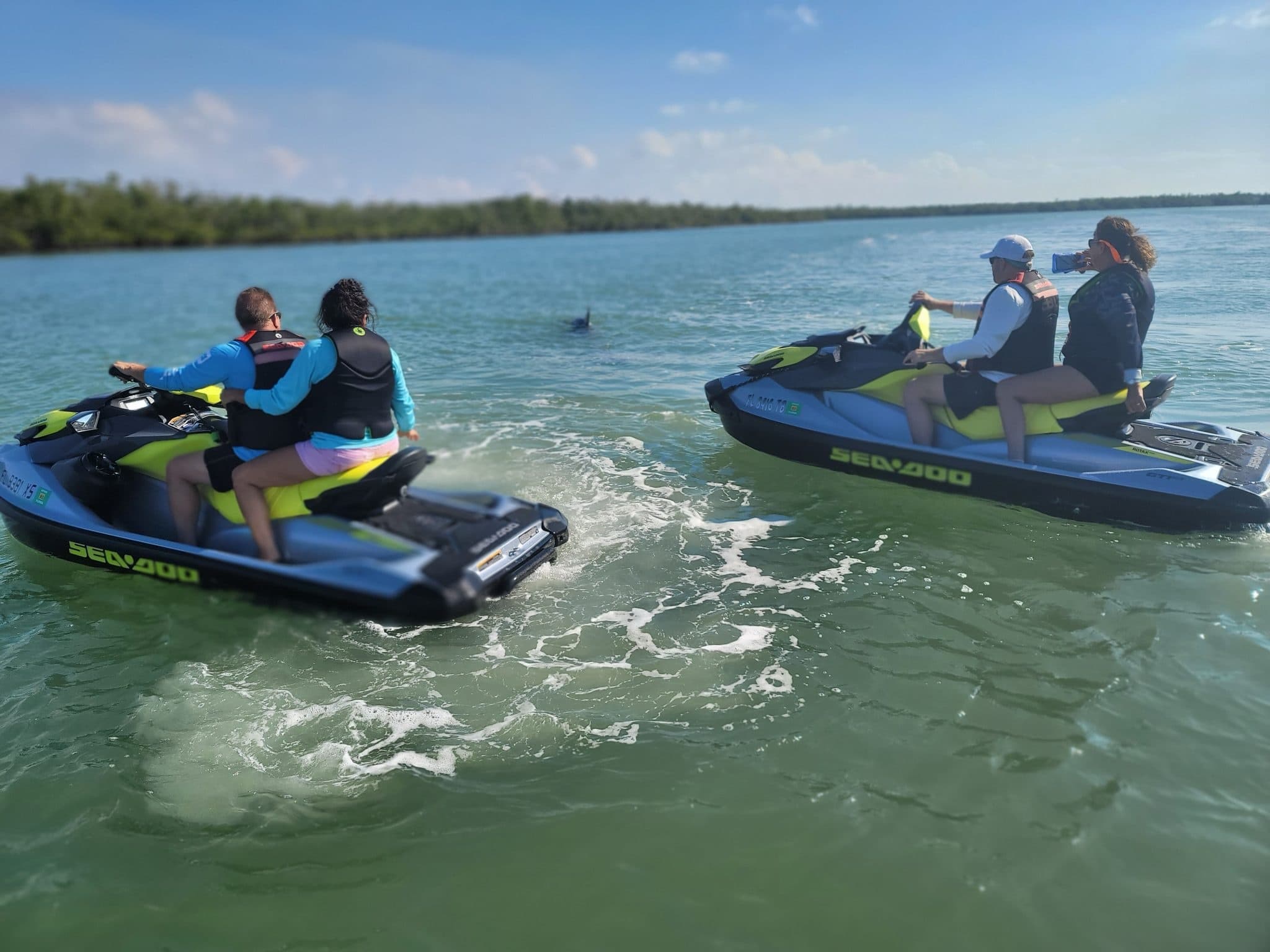 4 Hour Guided Jet Ski Tour