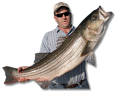 All Day Inshore