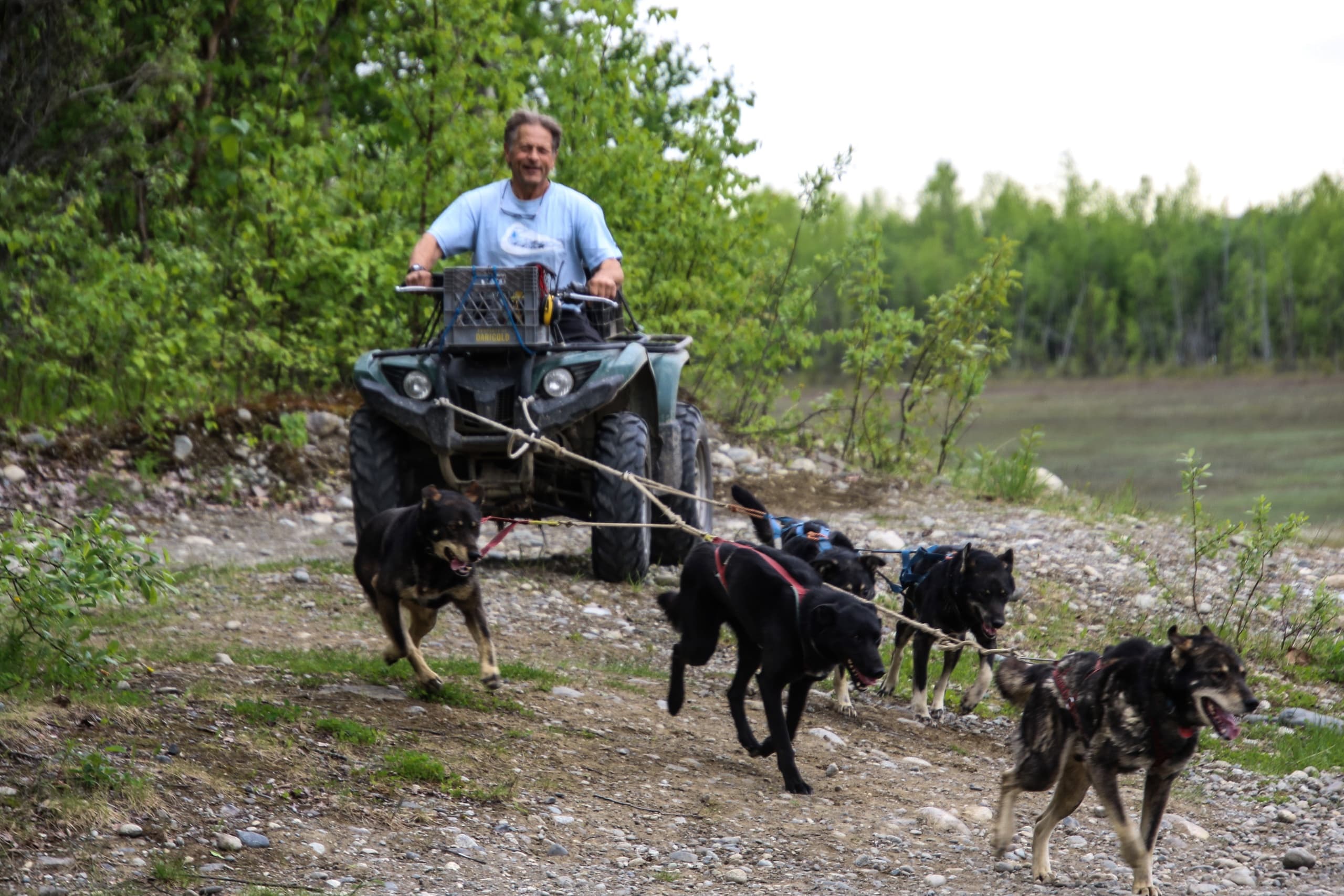 Summer Kennel Tour